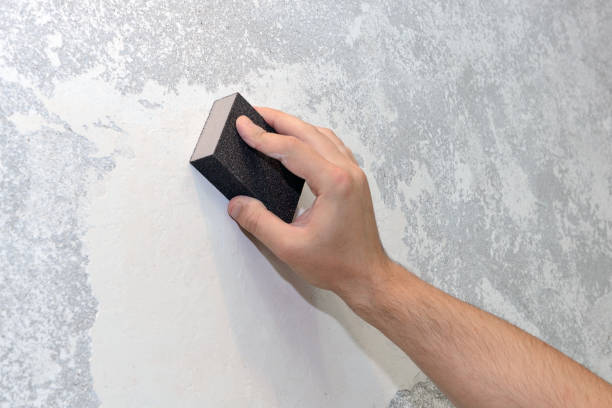 Best Post-Construction Mold Inspection  in Algona, WA