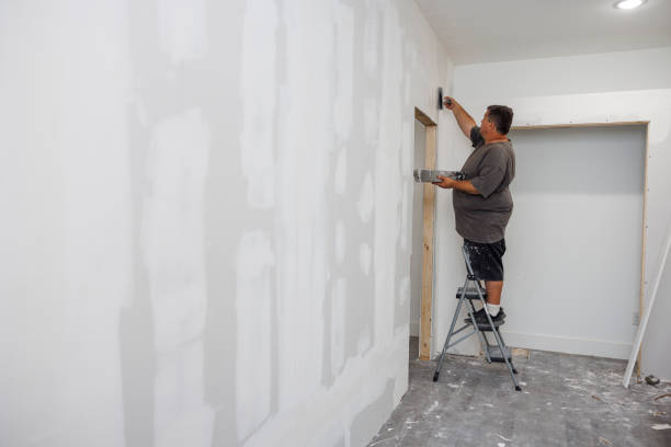 Best Emergency Mold Remediation  in Algona, WA